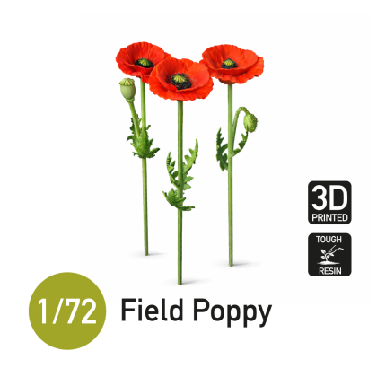 1:72 Field Poppy