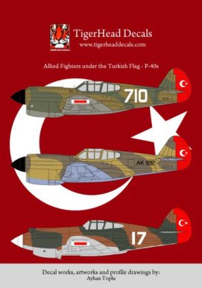 1:48 Allied Fighters under the Turkish Flag - Curtiss P-40 B/E Decals