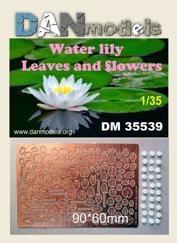 1:35 Water lily. Leaves and flowers