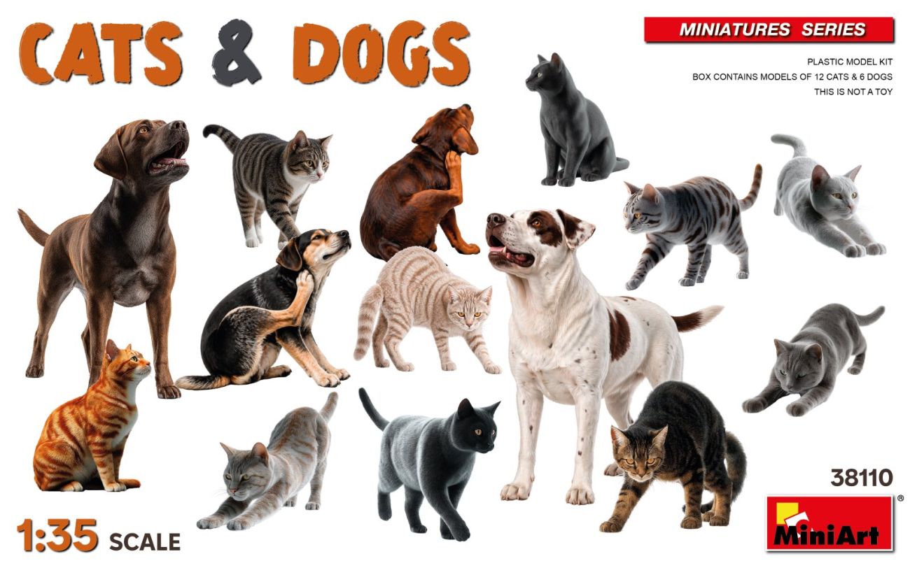 1:35 CATS & DOGS