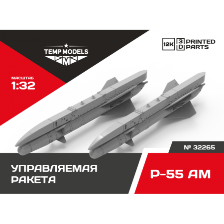  GUIDED MISSILE R-55 AM 1/32