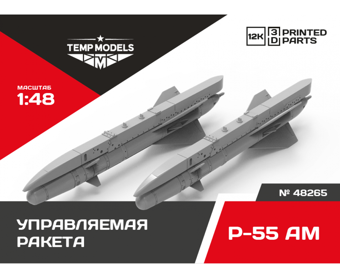  GUIDED MISSILE R-55 AM 1/48