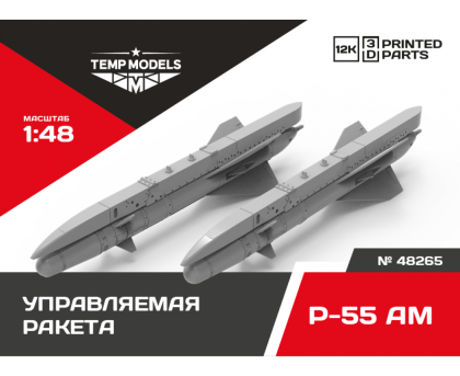  GUIDED MISSILE R-55 AM 1/48