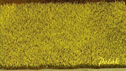 Řepkové pole kvetoucí (H0)34,5x19,5 cm