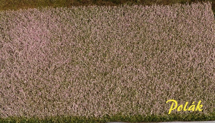 Makové pole kvetoucí 34,5x19,5 cm