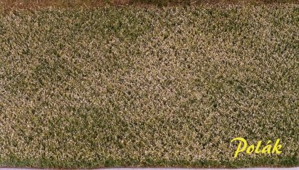 Kvetoucí pole - bílé 34,5x19,5 cm