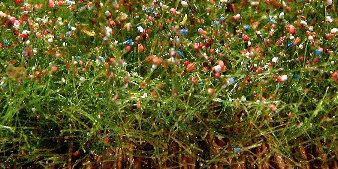 Kvetoucí pole - červené 34,5x19,5 cm