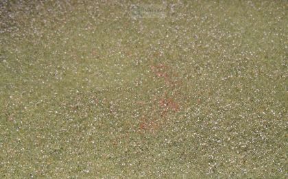 Kvetoucí pole bílé (N)24,5x19,5 cm