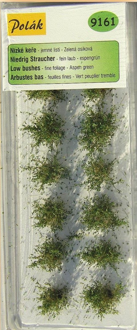 Nízké keře - jemné listí - Zel. osiková 14ks