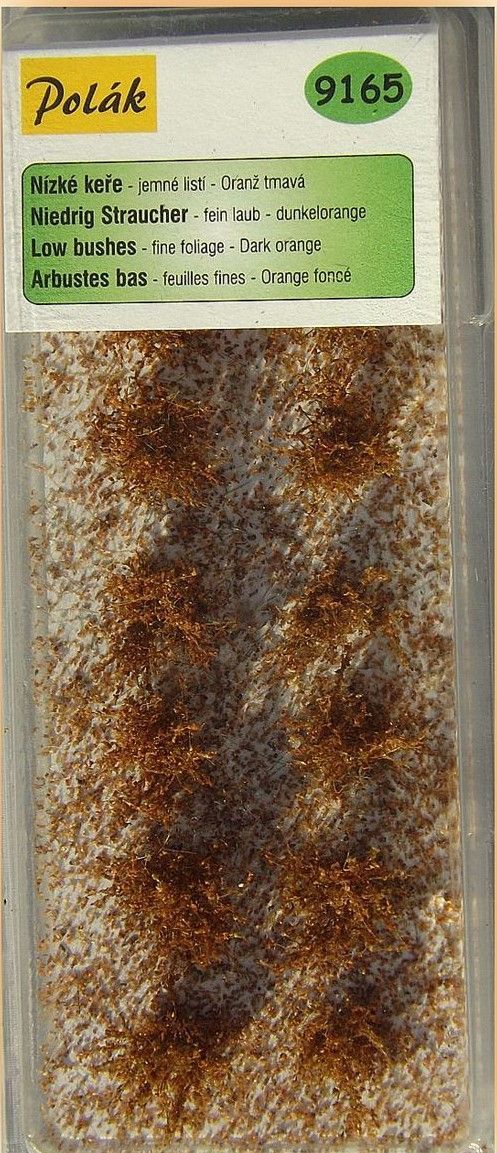 Nízké keře - jemné listí - Oranž tmavá 14ks