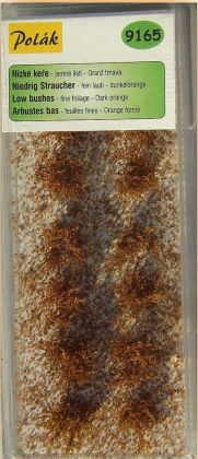 Nízké keře - jemné listí - Oranž tmavá 14ks