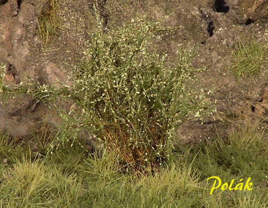 Vysoké keře - mikro listí - Zel. vrbová 15ks