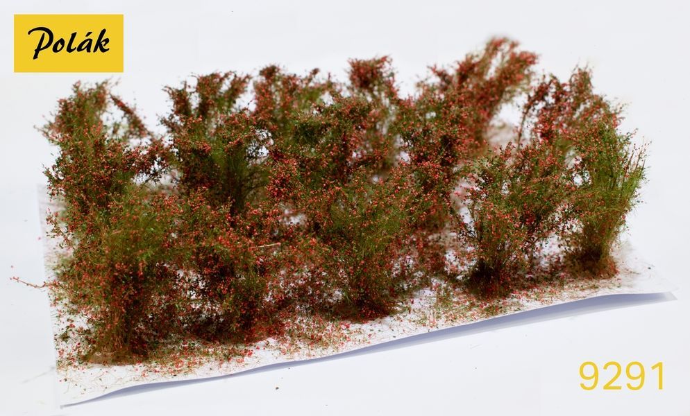 Vysoké keře - kvetoucí - Červené 15ks