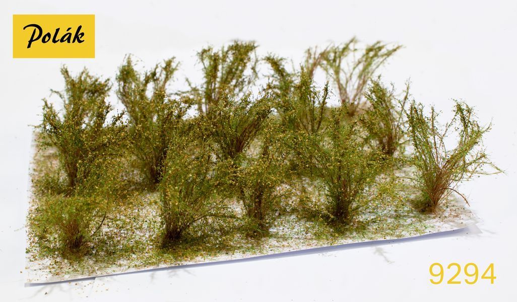 Vysoké keře - kvetoucí - Okrové 15ks