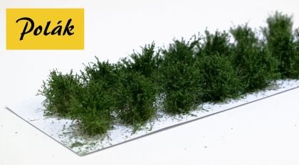 Nízké keře - mikro listí - Zel. světlá 14ks