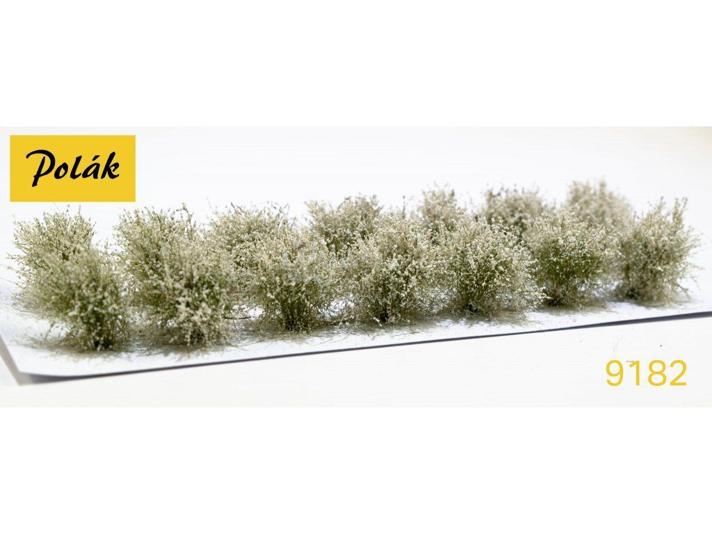 Nízké keře - kvetoucí - Bílé 14ks