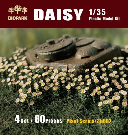 1:35 Daisy