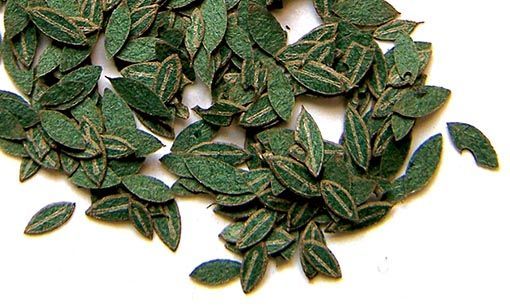 1:35 Zelené listí - třešeň