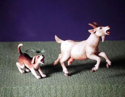 1:35 Goat and Beagle