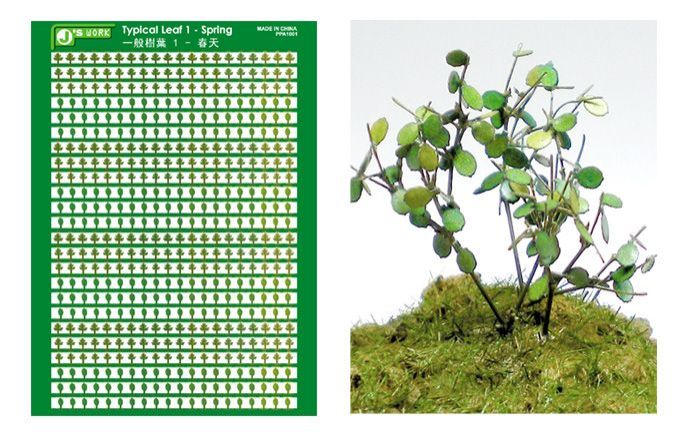 Typical Leaf 1 - Spring