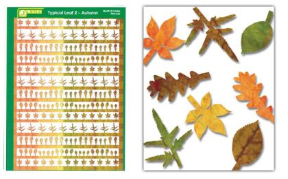 Typical Leaf 2 - Autumn