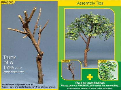 Trunk of a Tree (no. 2)