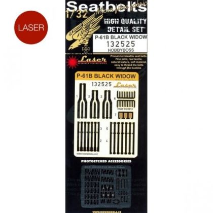 1:32 P-61B Black Widow