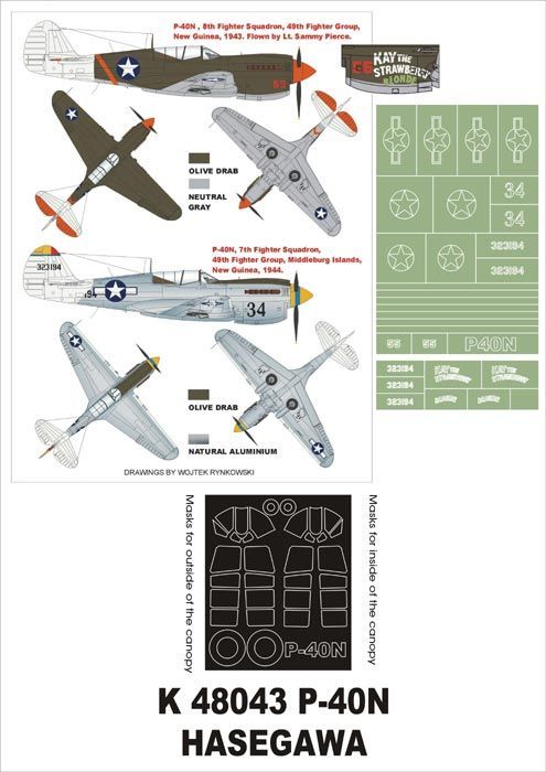 1:48 P-40N