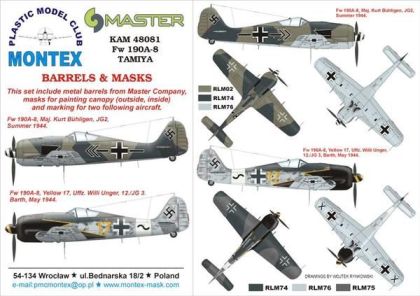 1:48 Fw 190A-8