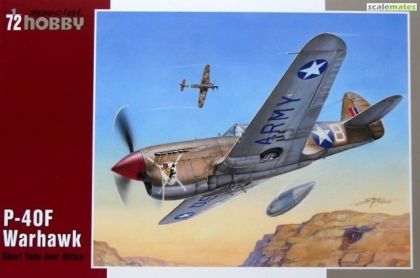 1:72 P-40 F Warhawk 
