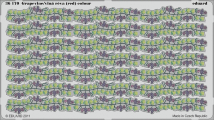 1:35  Grapevine/vinná réva (red) - colour