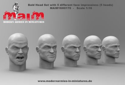 1:16 Bald Head Set with 5 different Face Impressions (5 Heads)