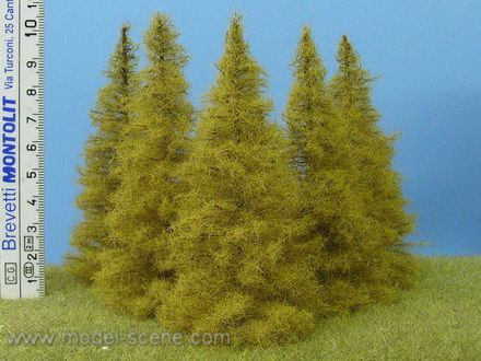 Modřín podzimní 90-110 mm