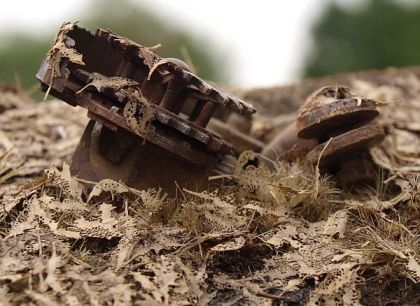 1:35 Dub tlející listí