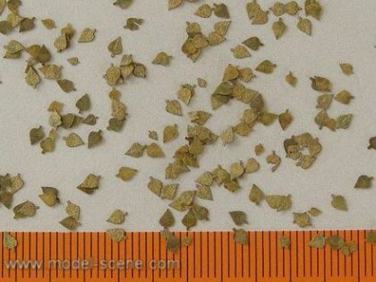 1:48 Bříza extra barvy podzim