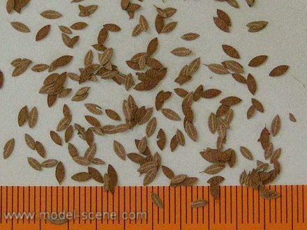 1:48 Univerzál extra barvy podzim