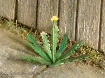 1:45/1:48 Pampelišky