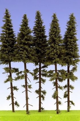 Smrk s kmenem 200 mm