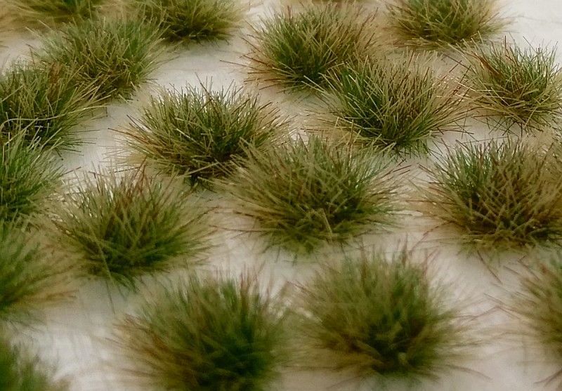 Drny dvoubarevné - pozdní léto