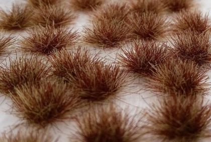 Drny dvoubarevné - pozdní podzim