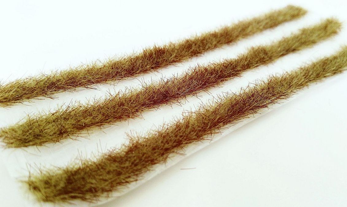 Travní pásy - časný podzim