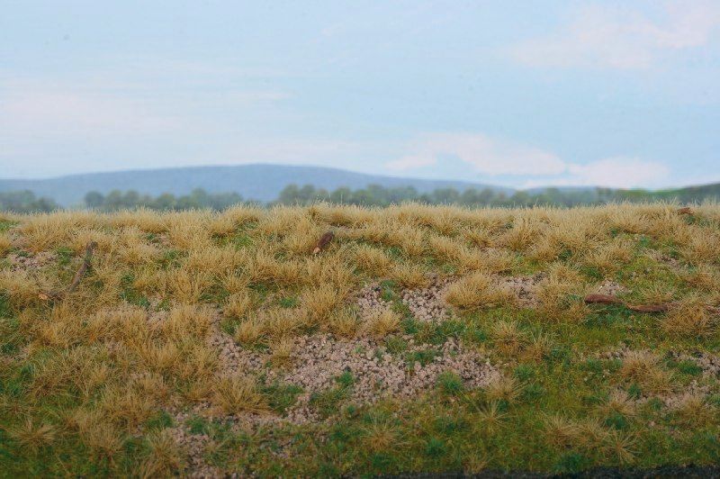 Lesní základ, borovicový les - MINIPACK