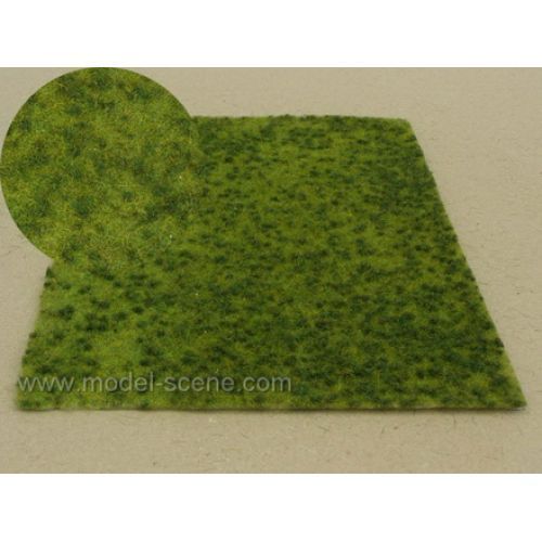 Letní louka s malými drny