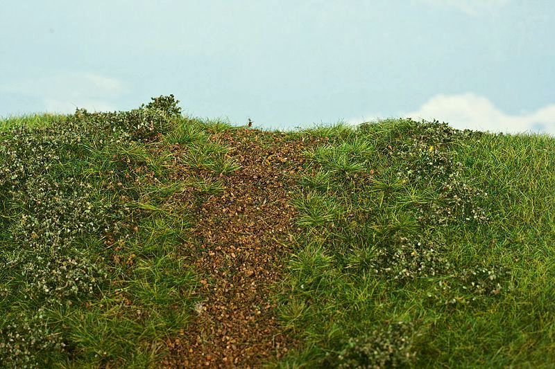 Násep časné léto