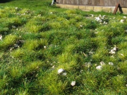 Časné léto - vápencové kameny S