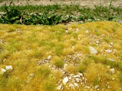 Pozdní léto - vápencové kameny S