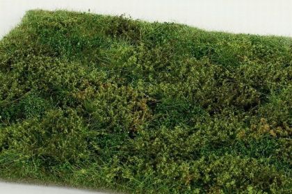 Divočina s keři - časné léto