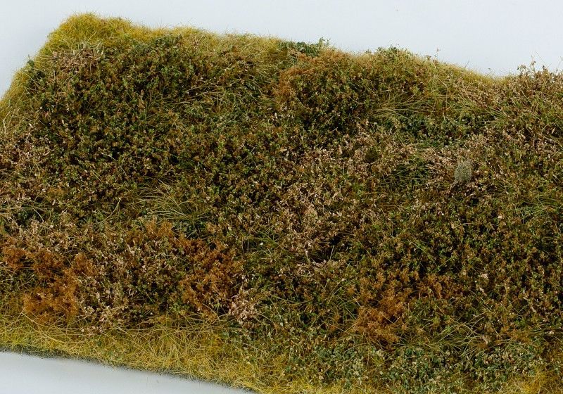 Divočina s keři - pozdní léto