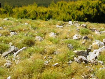 Pozdní léto - vápencové kameny L