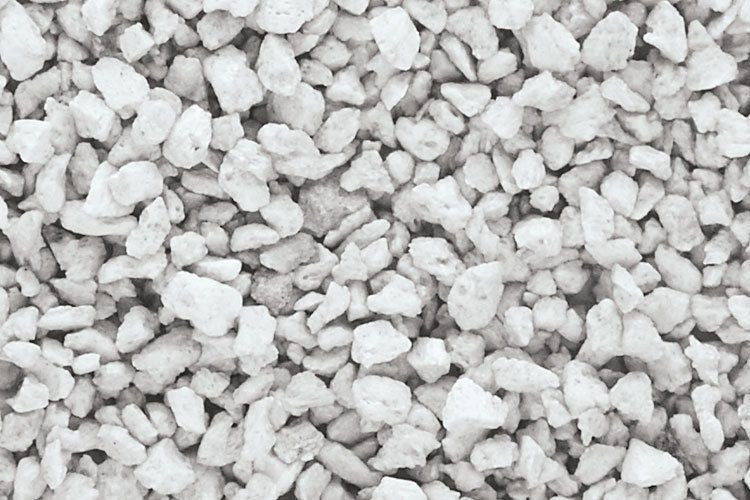 Medium Natural Talus